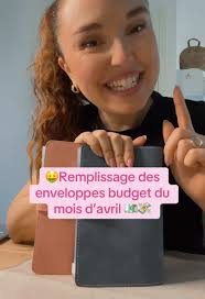 Livre Enveloppe Budget Cultura