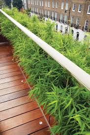 Then read on and learn which vegetables are best for your indoor garden. Landscaping Roof Terraces Garden Design Terrace Garden Design Roof Landscape Terrace Garden