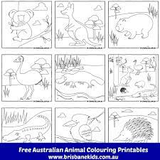 Identify 15 different creatures in these animal coloring sheets. Australian Animals Colouring Pages Brisbane Kids