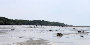 Biaya yang anda bayarkan adalah sebagai jaminan parkir. Wisata Pantai Kutang
