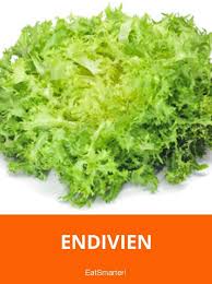 Endivien Endivien Endivien Rezepte Gesunde Nahrungsmittel