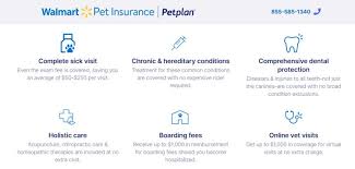 Check spelling or type a new query. Is Walmart Pet Insurance Good Here S How It Stacks Up Pawlicy Advisor