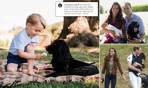 He was credited with raising the profile of the breed in the united kingdom by the kennel club. Prince William And Kate Middleton S Dear Dog Lupo Dies Daily Mail Online