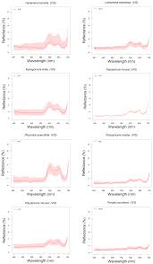 Remote Sensing Free Full Text How Far Can We Classify Macroalgae Remotely An Example Using A New Spectral Library Of Species From The South West Atlantic Argentine Patagonia Html