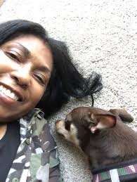 Jun 25, 2021 · currently, four other states have enacted laws that prohibit pet stores from selling cats and dogs from breeders: Pets For Adoption At Humane Rescue Alliance Foster Homes In Washington Dc Petfinder