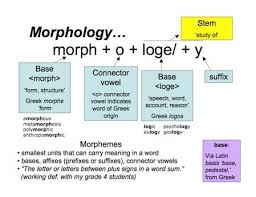 Connector Vowels Vowel Morphology Word Families