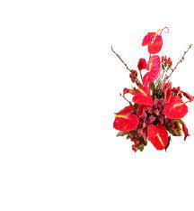 Maybe you would like to learn more about one of these? Flowerwyz Flower Delivery San Diego Cheap San Diego Flowers Delivery From San Diego Florists And Flower Shops