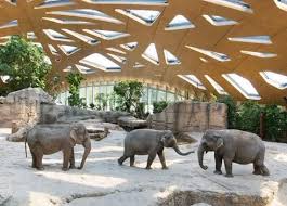 Elephant Park Zoo Zoologischer Garten Tierpark