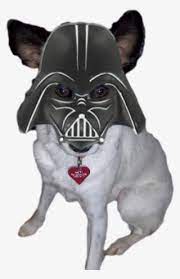 The mandalorian super commandos sometimes decorated their helmets with horns.1clone troopers wore helmets as part of their armor, and occasionally referred to them as sun. Haven As Darth Vader Darth Vader Coloring Pages Png Image Transparent Png Free Download On Seekpng