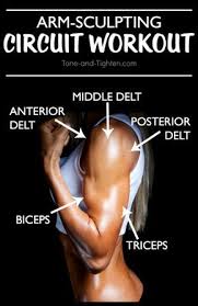 6 Great Moves For Arm Definition Good Arm Workouts Exercise Arm Workout