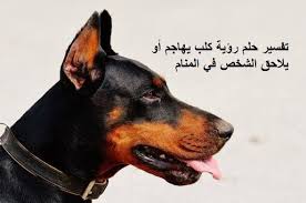 الشيش برك من الأكلات الشامية المعروفة، ويحضر باللحم المفروم، والعجين المطبوخ باللبن، تعلمي تحضيره مع مطبخ سيدتي خطوة بخطوة واستمتعي بمذاقه مع عائلتك. Ø±Ø¤ÙŠØ© Ø´Ø®Øµ ÙÙŠ Ø§Ù„Ù…Ù†Ø§Ù…