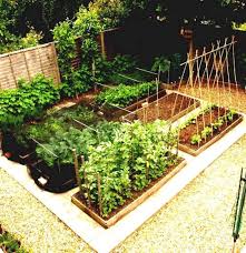 Here Are The Home Vegetable Garden Design Ideas This Article About Home Vegetable G Home Vegetable Garden Design Small Vegetable Gardens Home Vegetable Garden