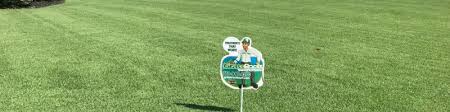 Besides, it's energy intensive, requires specialized tools and takes much time. Josh Wise Chief Executive Officer Grassroots Tree Turf Care Inc Linkedin