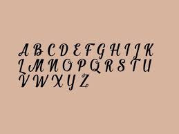 This awesome font has come only with a regular style but this regular style has 215 glyphs. Shintia Script Font Download Fonts Empire