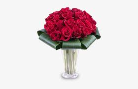 This is my life performed by joana zimmer see more ». 25 Red Roses Rote Rosen Strauss Transparent Png 480x480 Free Download On Nicepng