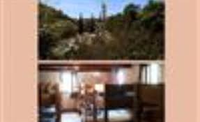 Image result for Usteria