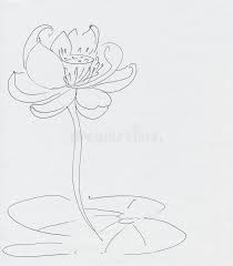 Lotus Flower Line Art Stock Illustration Illustration Of Chinese 60982204 Download this lotus line drawings, lotus clipart, line clipart, lotus png clipart image with transparent background or psd file for free. lotus flower line art stock