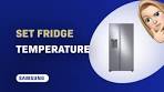 How to Set Temperature on Samsung RS27T5200SR Fridge