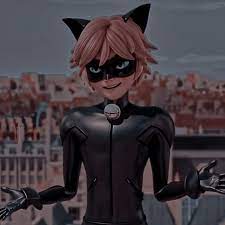 Icon Chat Noir Miraculous Ladybug Movie Chat Noir Aesthetic Cat Noir Aesthetic