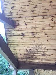 Following a few simple steps can help you on your way to a clean and healthy ceiling. What Can Take Mold Off Of My Porch Ceiling Hometalk