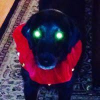 Kim Hubble (hubble0052)