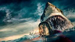 Curse of Pirate Death (2006) — The Movie Database (TMDB)