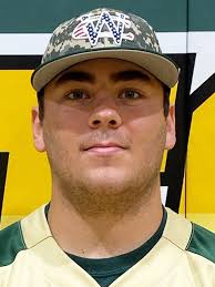 Georgia Dugout Preview