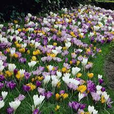 Pin On Spring