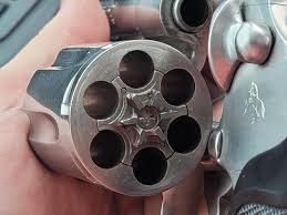 Image result for Medium Buckskin 1989 Colt