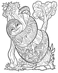 These coloring pages are free. Pin On Adult Color Images Small Animals