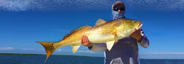 Owner Perfection In Hooks