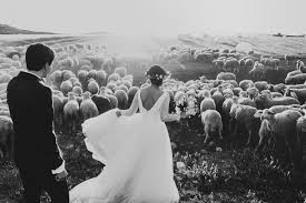 Get wedding photography inspiration and ideas from these top wedding photographer here are the best 29 wedding photographer websites for your inspiration his clean and minimalist wedding photography portfolio website presents selected wedding photo stories to showcase his. 25 Highlights From The Best Wedding Photos Of 2015 Twistedsifter