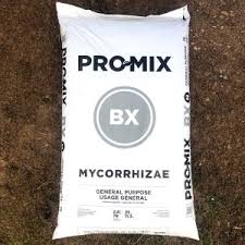 Maybe you would like to learn more about one of these? Premium Organic Vegetable And Herb Mix Blue Ribbon Farm