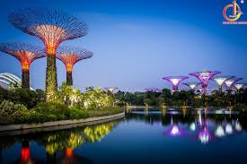 Image result for Vườn thực vật Bedugul