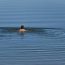 We did not find results for: Seen Um Leverkusen Silbersee Hitdorfer See Fuhlinger See Focus Online
