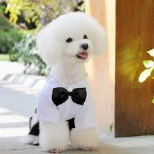 Satin Al Wx01 Beyaz Siyah Kopek Giysileri Kopekler Gelinlik Kopek Kiyafet Mascotas Perros Smokin Pet Tulum Kucuk Kopek Giyim Evcil Icin Tl51 31 Tr Dhgate Com
