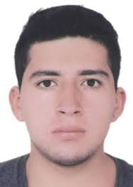 Ingresos de Otorongos Elecciones 2022