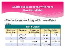 Science > biology > genetic basis of inheritance > dominance and codominance. Ddkt34d88wfqmm