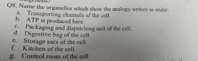 Maybe you would like to learn more about one of these? Name The Organelles Which Show The Analogy Written As Under Brainly In