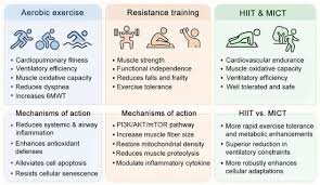 Image result for Exercise in COPD