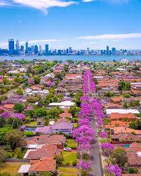 Jacarandas Colouring Perth Skyperth Perth Jacaranda Fromwhereidrone Pl Western Australia Travel Western Australia Perth Western Australia