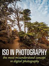 What Is Iso In Photography Iso Settings Explained Iso Photography Photography Basics Digital Photography Basics