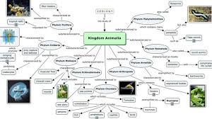 Vaksin bakteri khususnya digunakan untuk kekebalan. Kingdom Animalia Pengertian Ciri Struktur Peta Konsep Klasifikasi Sistem Organ Contoh Dan Perannya Teks Co Id