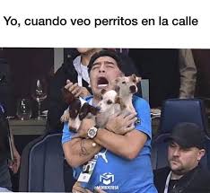 Maybe you would like to learn more about one of these? Consuelo Duval Awwww Amo A Los Perros Facebook
