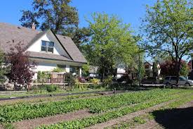House & garden nutrients ©year all rights reserved. The Best Types Of Gardens For Growing Vegetables At Home Home For The Harvest