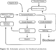 Transesterification process for biodiesel production pdf. Scielo Brazil Biodiesel An Overview Biodiesel An Overview