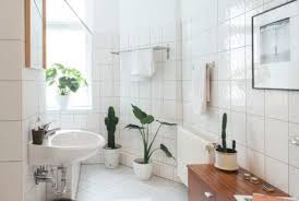 homemade drain cleaner: 4 recipes that