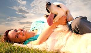 What Is Animal Welfare And Why Is It Important The Difference Between Animal Rights Animal Welfare Animal Welfare Animals Animal Planet