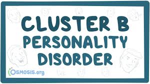 Image result for Cluster B Personality Disorder