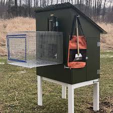 Lcs Pigeon Loft Plans Digital